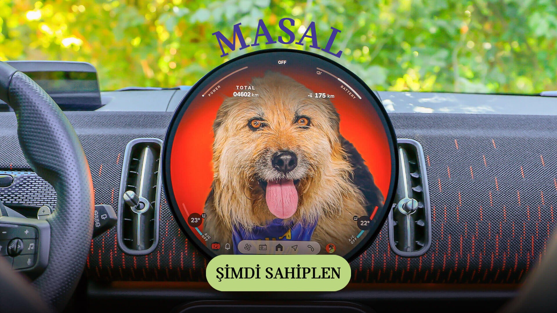 MINI Pati | MINI Türkiye